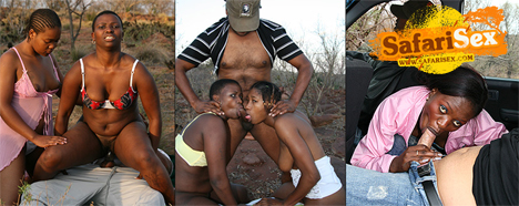 enter safarisex